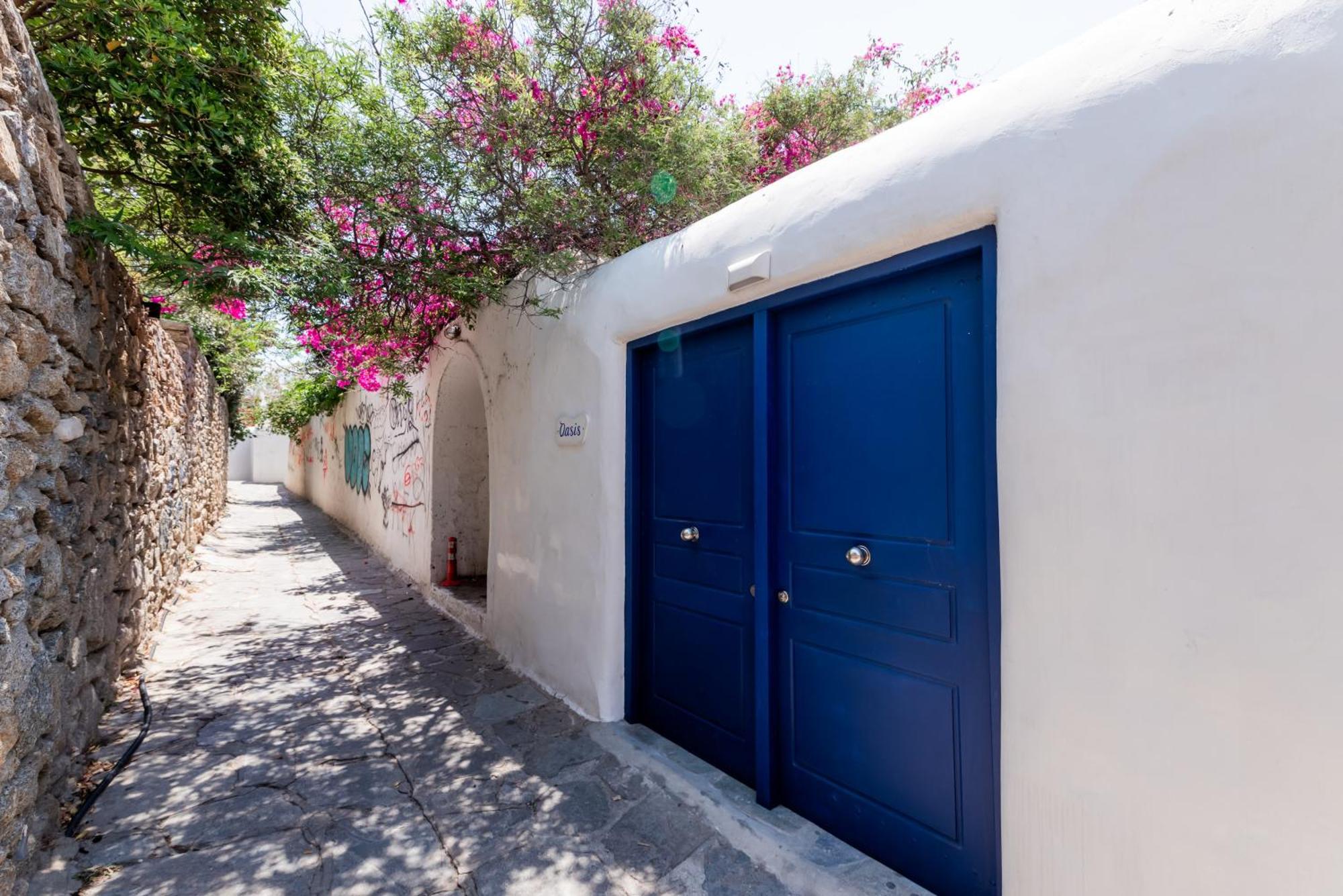 Olive Tree Mykonos Town Semi-Basement Apartment Buitenkant foto