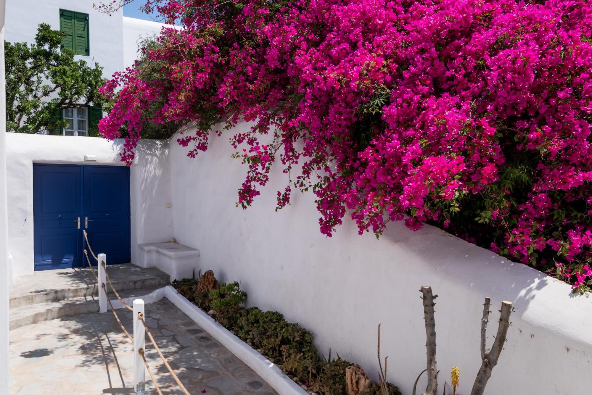 Olive Tree Mykonos Town Semi-Basement Apartment Buitenkant foto